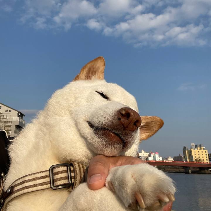 1ca726a2 34c4 4d16 b746 0d3a14b0bf7f 1647086687511