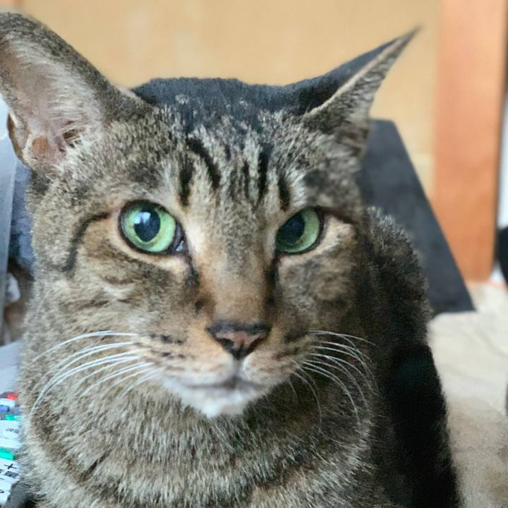 1ca74d9f 51c1 4c7a a1f7 c256b9ae1669 1576544329793