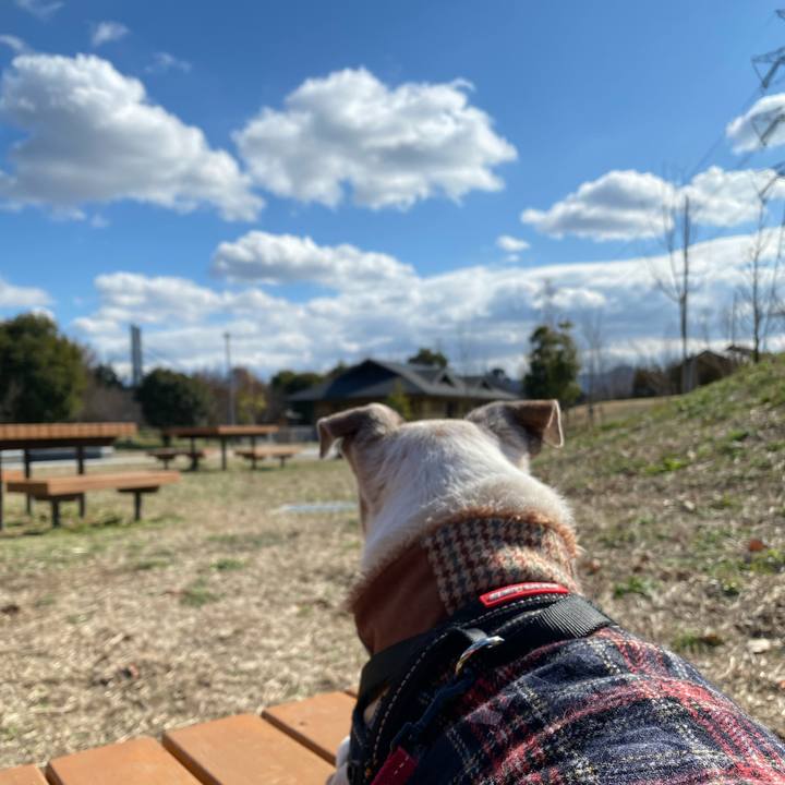 1ca77a42 aae9 4334 a674 677224824d8e 1611996491462