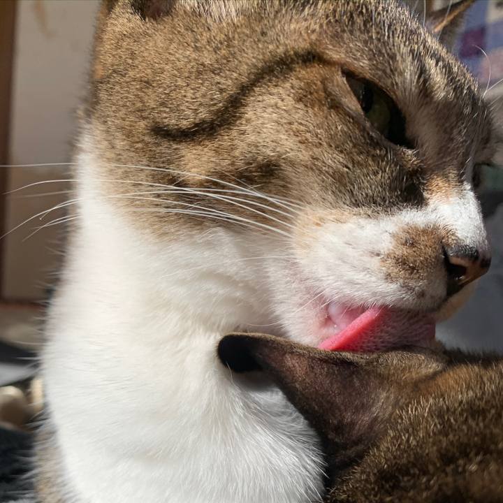 1ca7856a 468d 4aa8 8bac f2ddc126dc0a 1579827196706