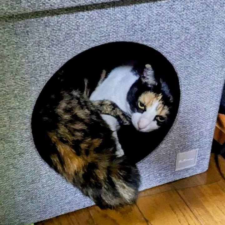 1ca7f469 404d 4190 a193 512b899bcf96 1770897211116