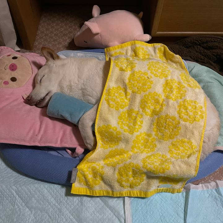 1ca8304c f8e5 4857 a043 b479105ec06a 1634775907334