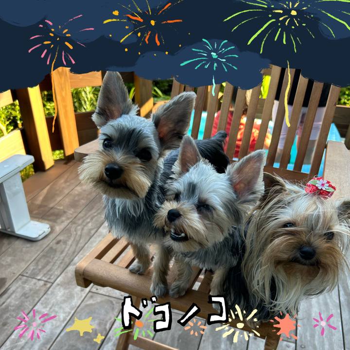 1ca85d32 111f 4a3d a74f b4e04bf82505 1723767070778