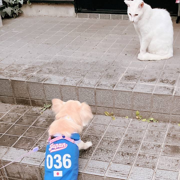 1ca89fb1 3619 4272 8755 517a43544215 1660300576560