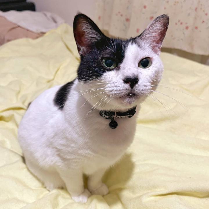 1ca8a0b1 79a7 4349 980e 87c76f23f056 1756680804533