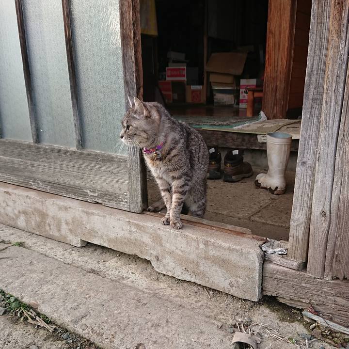 1ca8a259 1e19 4b3f a77b 3b0fc1309a3d 1579936498785