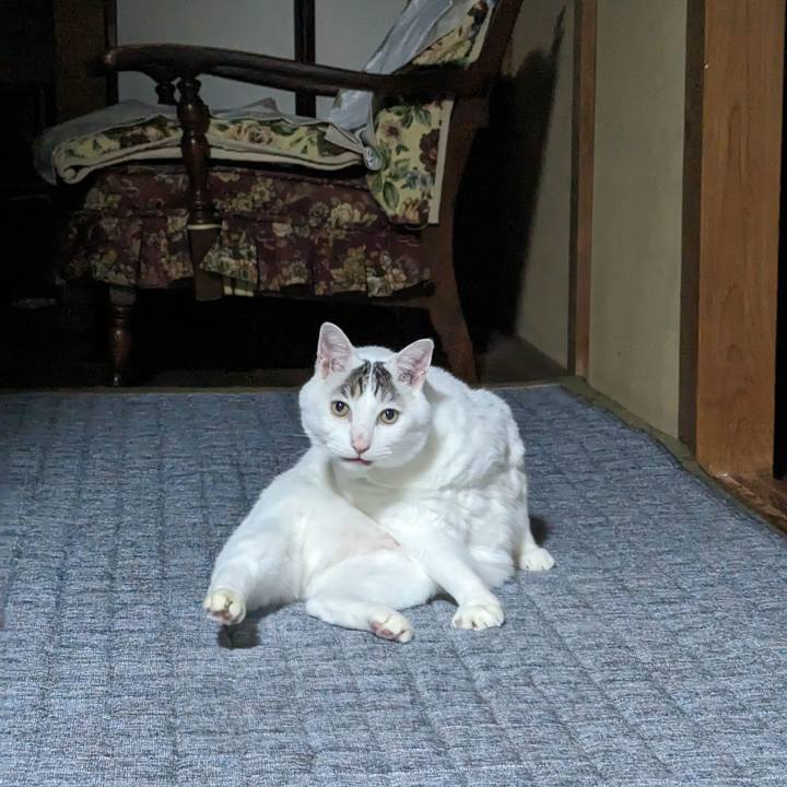 1ca8b327 2dd5 4db2 80e7 5a3d709c1593 1690633126539