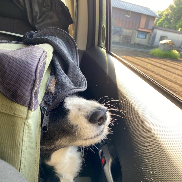 1ca8dd5b c449 4d6d ad72 ec7eaf4e606d 1655503688432