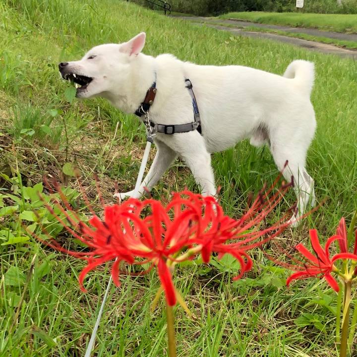 1ca8ddf1 facd 4b86 898e 50323a90dc73 1599956227334