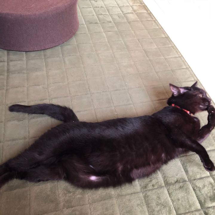 1ca8f246 ccee 4564 9720 ac4ef1d7cace 1538909164803