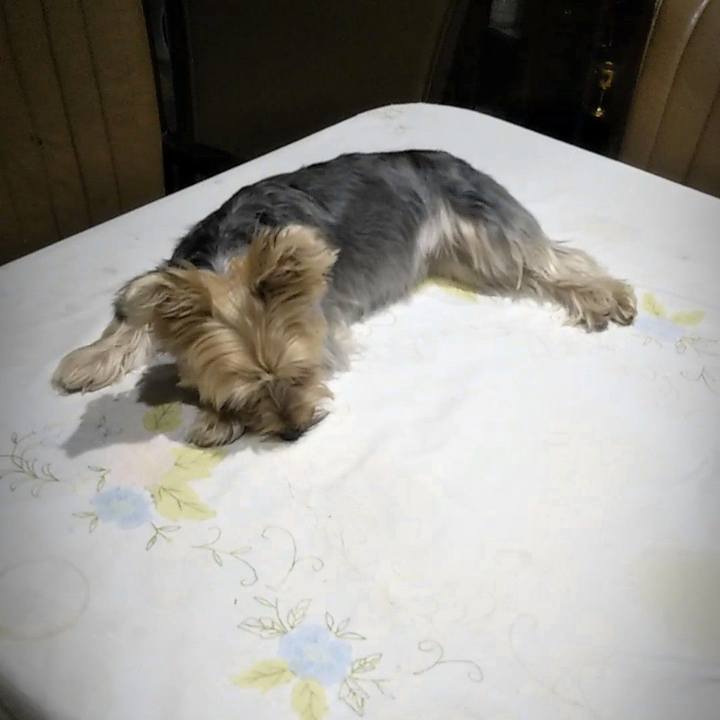 1ca909bd f387 4832 977d 341e6040f36b 1568462844515