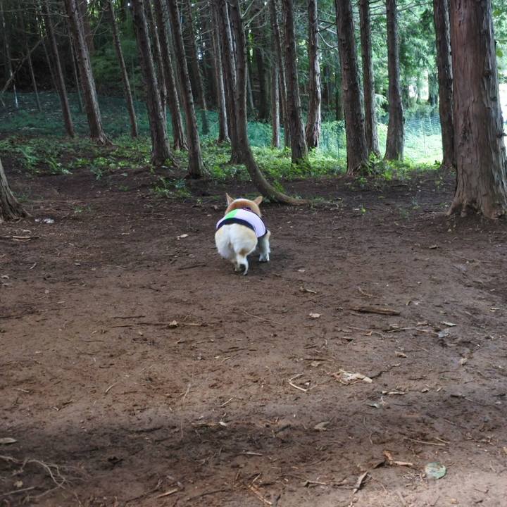 1ca94053 10fe 4666 816f c371e3caf9af 1661668125121