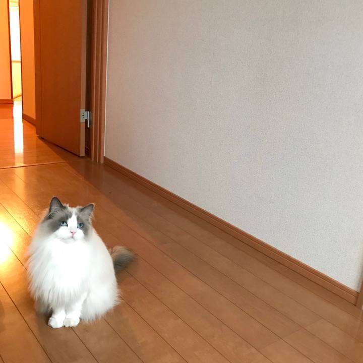 1ca94d92 b5ab 41c2 b63a 01f77dc04bdd 1587120383513