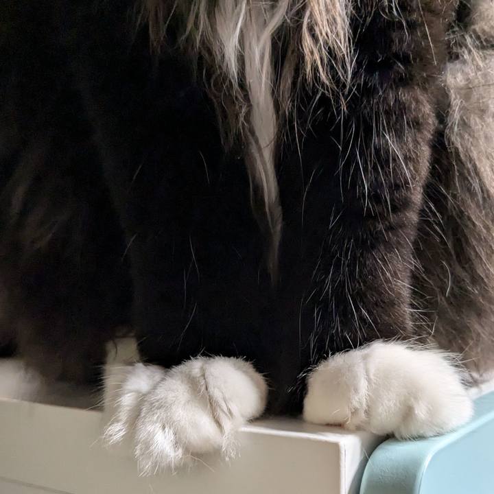 1ca95b96 6e44 4f45 9eeb 5bb8562d7adf 1724936123455