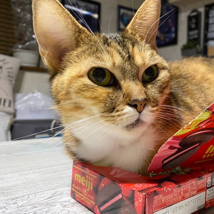 1ca97c2b a38c 4efb 84ae 7c98f1d14e8c 1605449159454