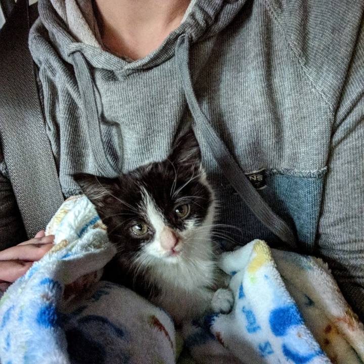 1ca9ba5f 1bf9 4de5 91d6 3a3730026617 1519264255067