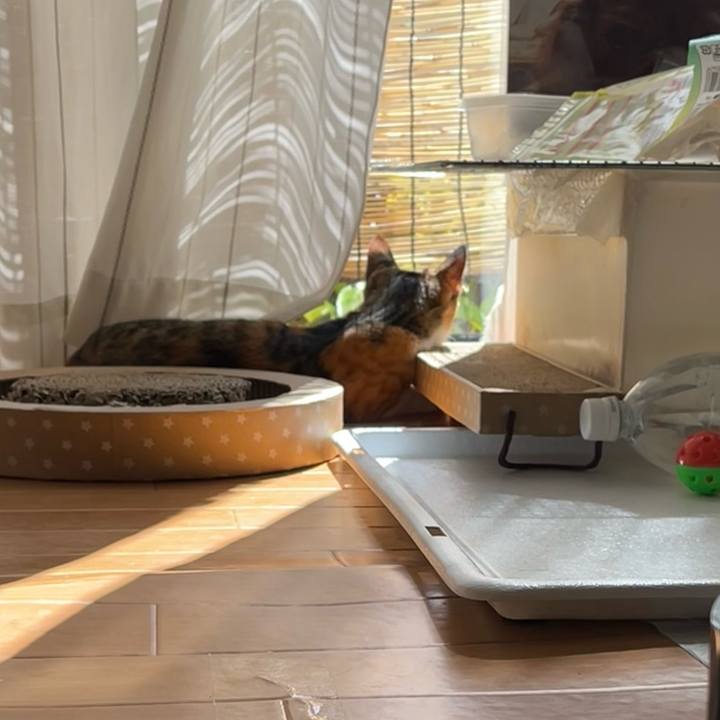 1ca9dd02 e56a 41c1 94cb 8422ff752b31 1664073622849