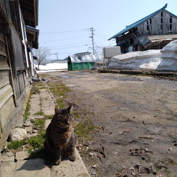 1ca9dd18 e031 4f1e b776 16deb9860fe7 1742627460294