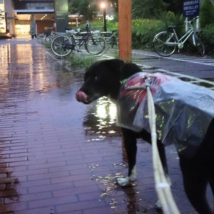 1ca9fa22 eb7d 4a57 9197 4854183fb422 1654598967659