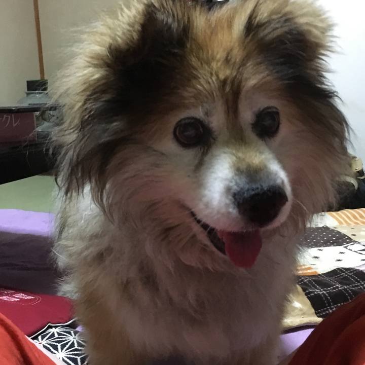 1caa3bdc c081 48a9 9d9d 988df4e95f98 1558867952825