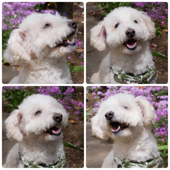 1caa5ef5 98c6 45cc 825e a6747df78eaa 1523353083239