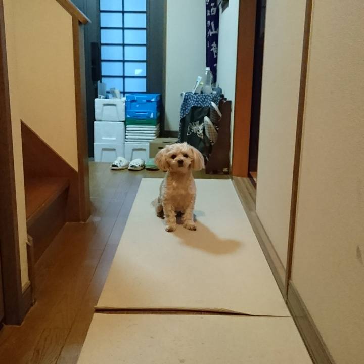 1caa6334 c06d 4e17 b77f 29302a8fb500 1515978632264