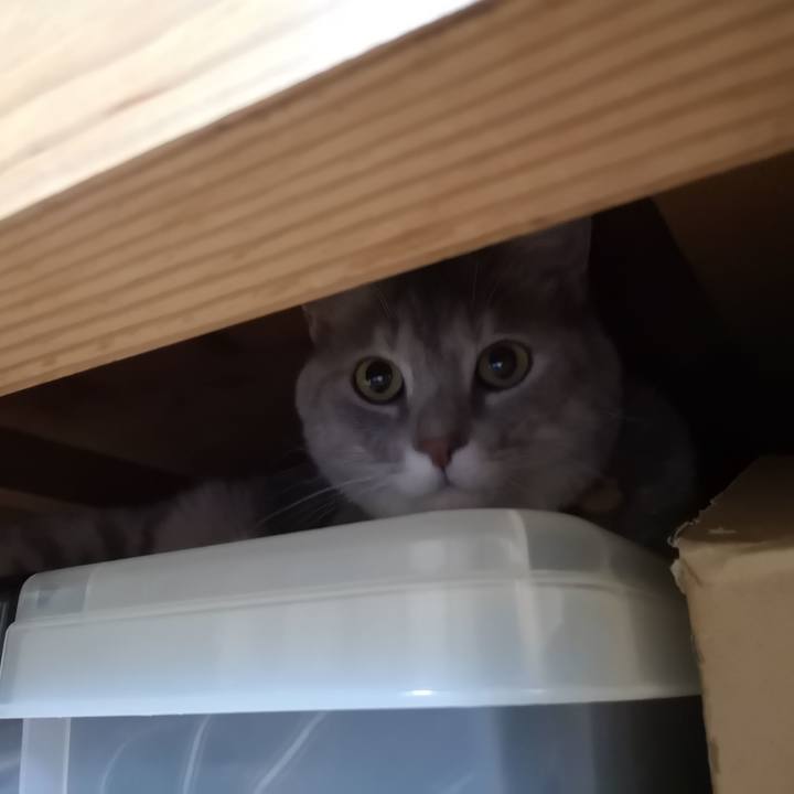 1caa7dca bee2 4606 8529 cbfbe62a0959 1572534530037