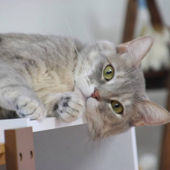 1caa7f35 449e 4617 965c 3fb09de3799e 1548922527128