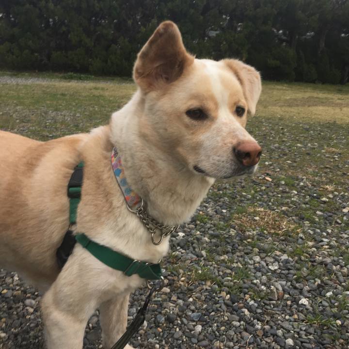 1caab9a2 9120 45dc 83fd b302a3b98d92 1521688893394