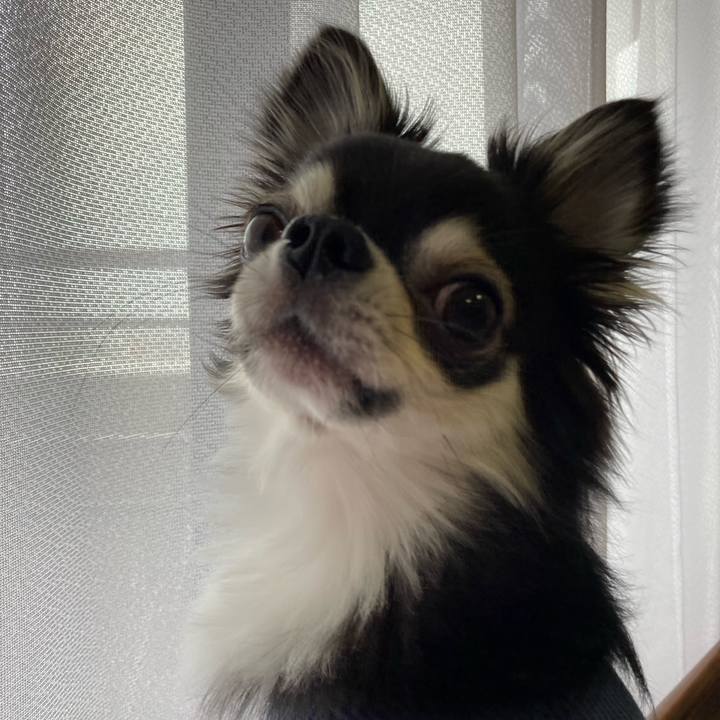 1caac3ac dd83 4657 a689 bdd98cdef5f9 1650173143089