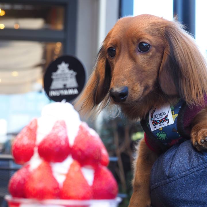 1cab1b08 831b 4da7 9be9 dda582ae1789 1735872070786