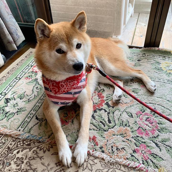 1cab358b 6a6b 4b5d 85ca 7c82fba9d6ab 1591779890575