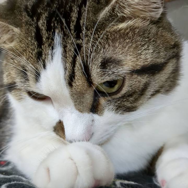 1cab40c4 a0cc 4ee4 97bb 567270bcea9d 1666010281923