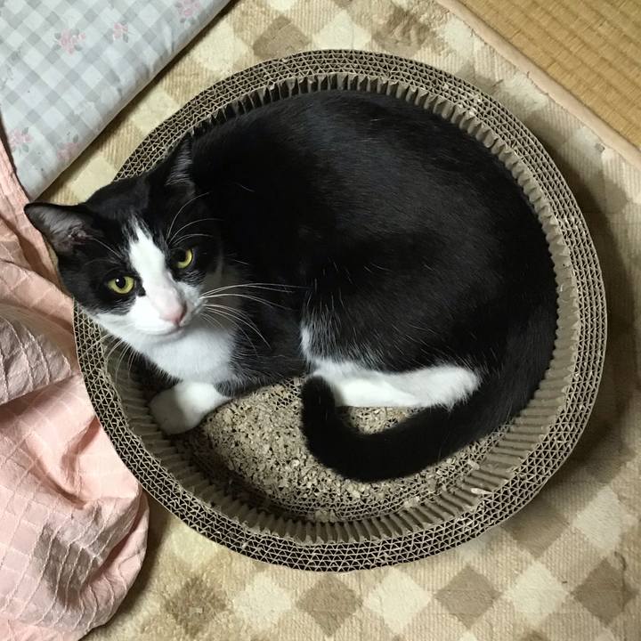 1cab42e9 649f 4ca5 b420 c2cd877576bd 1700734280181