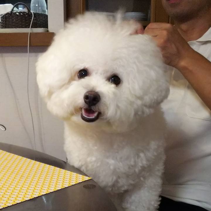 1cab60ec 486b 4e10 8868 32d6892c5eab 1533384258756