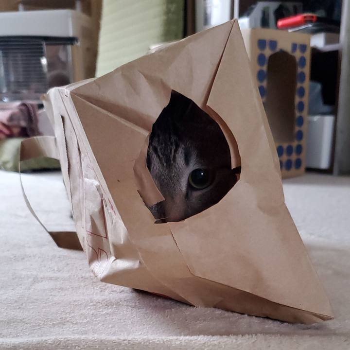 1cab7213 9f60 4725 afa4 657a875f2ca9 1698590547743