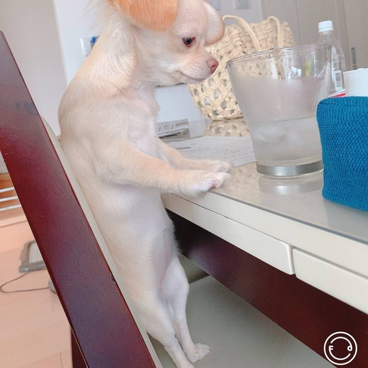 1cab83a0 27e4 4c87 9f60 36848f6c410f 1596172147707