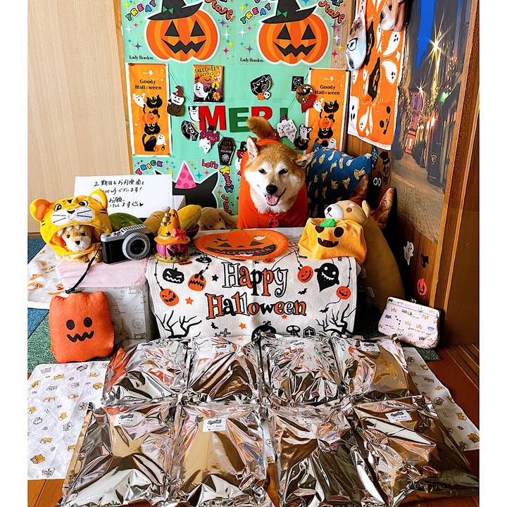 1cab8560 8b7e 4af2 908a e9129cc93432 1663390603176