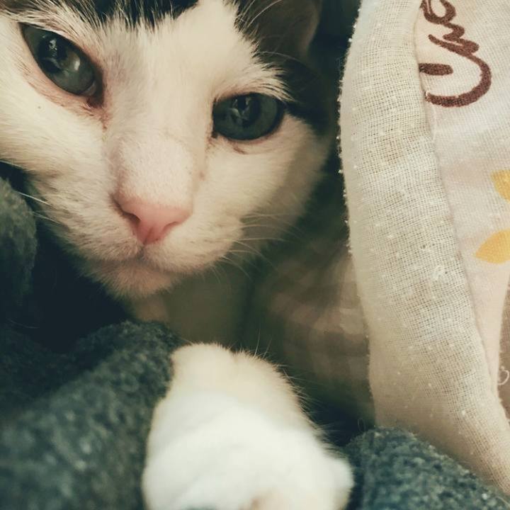 1cab8e09 a348 4d37 88b2 bc0fa1e49a67 1711866099289