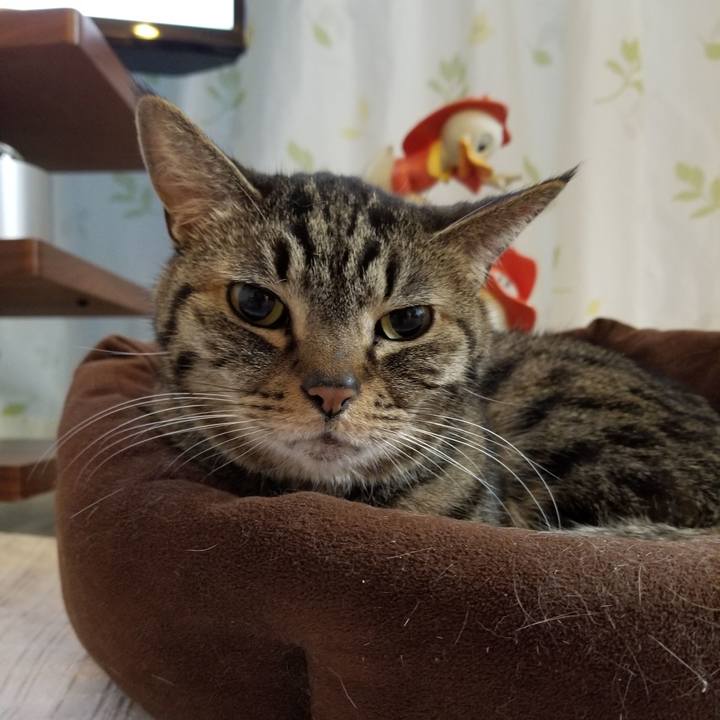 1cabb63f 7c3f 431a b7e6 45c8891a8c30 1610314909307