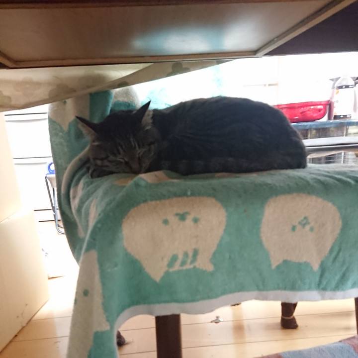 1cabc921 9113 4af2 ab45 feb43a10576a 1654900593766