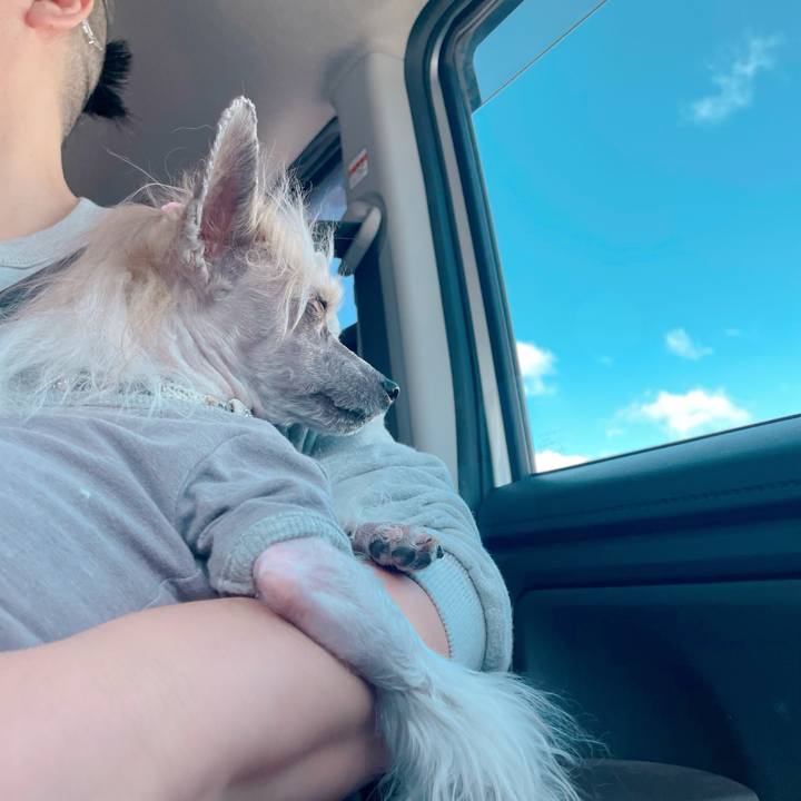 1cabf27c fc2d 4565 8545 15e715bc1e9e 1773478481859