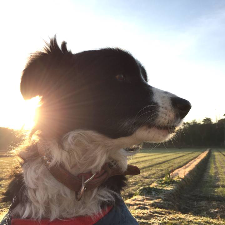 1cabf7cc f076 4315 a1ea 9786893e2268 1515020798840