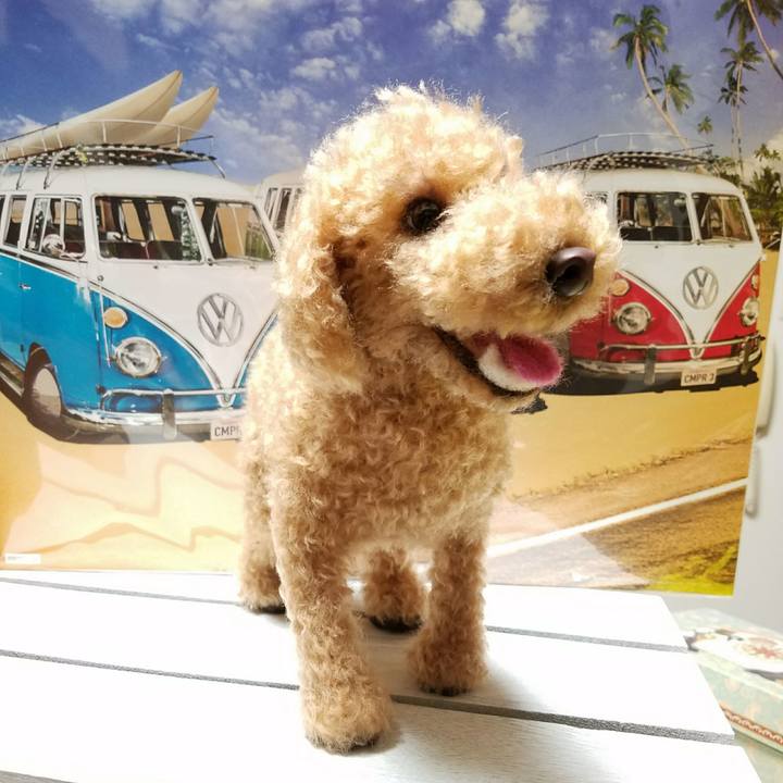 1cac03f0 8cce 45d0 9066 0b6bc1485a5a 1527787828733