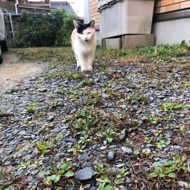 1cac05da ac81 427c a8cd b22166193491 1604187606801