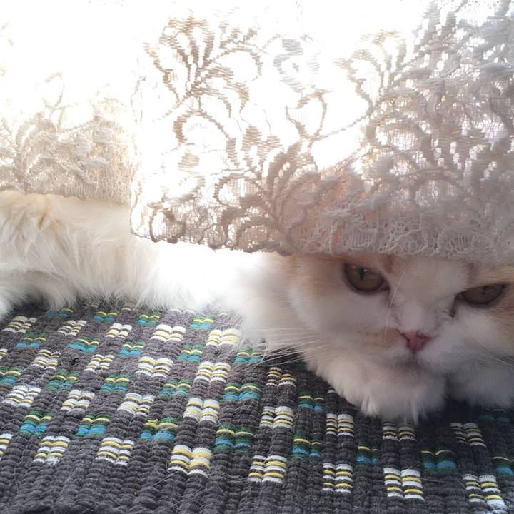 1cac2597 c6b8 42e8 8d6a b95e4078fc97 1548839393742