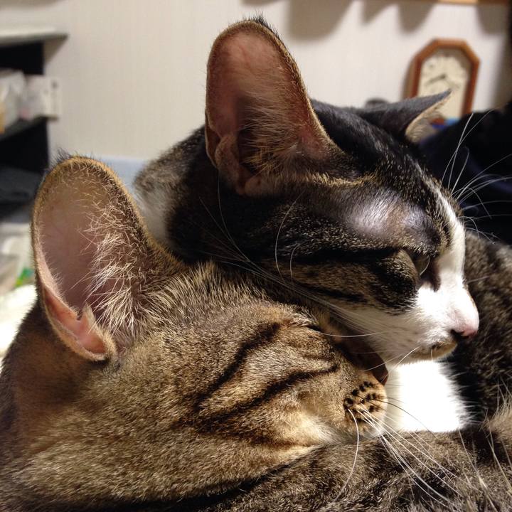 1cac7c11 71c0 4168 a0e7 ad978634da26 1508989615712