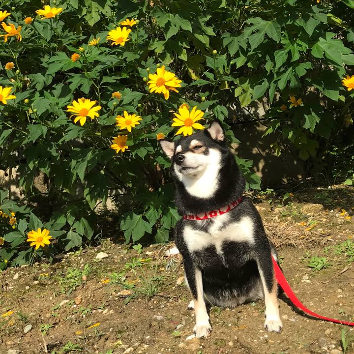 1cac875e 8c89 4646 97b4 6760fe7faa76 1512360055243