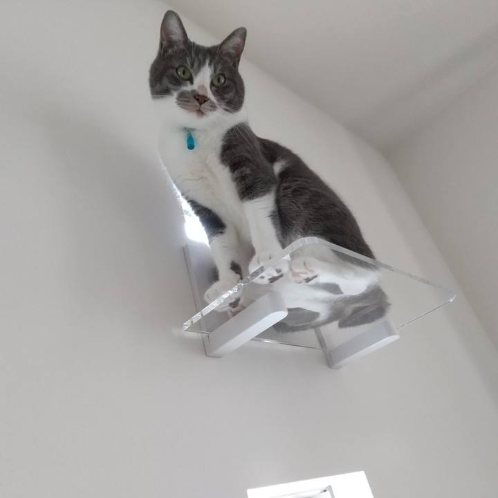 1caca29e 8a66 43c1 b336 53cb2c6a8add 1628321541817