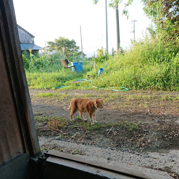 1cacdcac d0c1 41b0 a528 60b4855ff6da 1597268087686